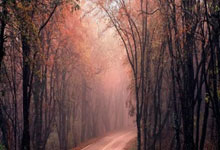 28圈官网：因患小儿麻痹症落下残疾，她刚为中国拿下首金！却“不满意今天的表现”中国青年报.