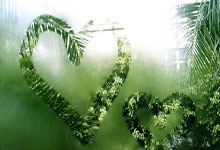 [NBA]夏普战斧隔扣领衔2月27日NBA五佳球.