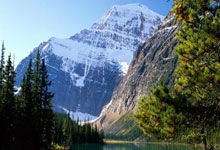 （哈尔滨亚冬会）中国香港冰球青年的“冰雪奇缘”中国新闻网.