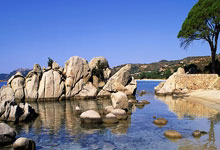 塔图姆25+14 霍福德26+9 莫兰特26+6 绿军轻取灰熊豪取9连胜.